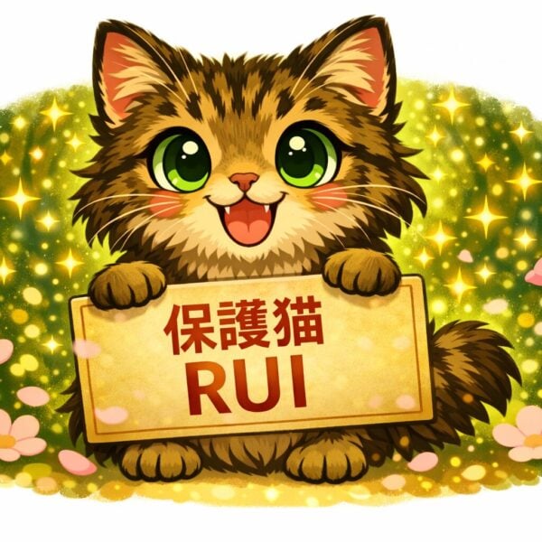 保護ネコRUI