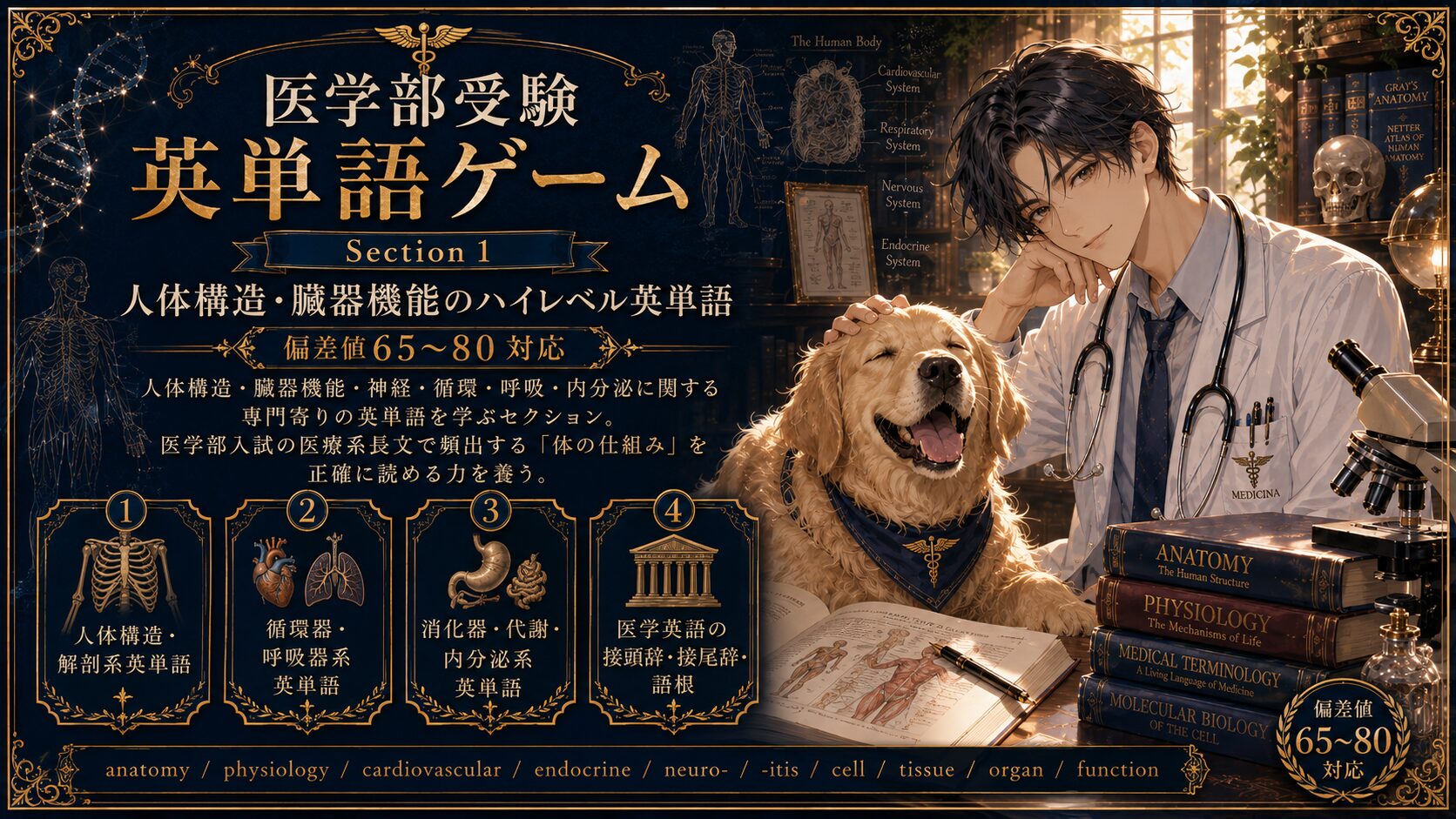 医学部受験対策ゲーム